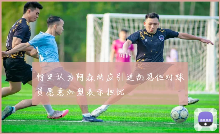 特里认为阿森纳应引进凯恩但对球员愿意加盟表示担忧